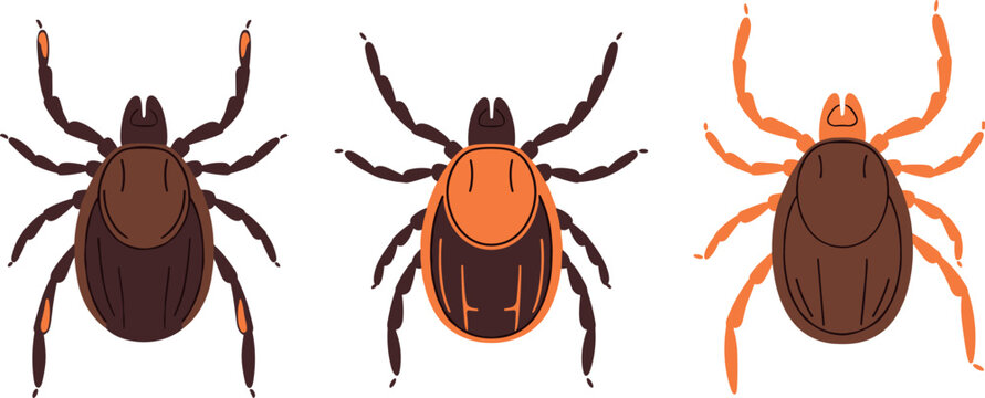 Tick insect illustration set featuring detailed parasite bugs in different styles and colors isolated in flat vector design