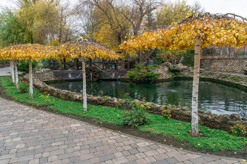 Fototapeta premium Autumn park by water and trees