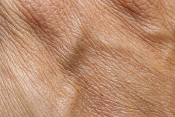 Fototapeta premium Macro Detail of Human Skin Texture and Veins on Back of Hand,Extreme close-up shot showing the intricate details of human skin texture, pores, and visible veins on the back of an adult's hand.