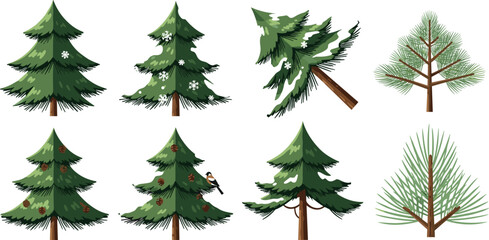 Fototapeta premium Set of Pine Trees in Various Shapes with Cones and Needles for Nature, Forest, and Botanical Illustration