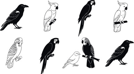 Bird silhouette vector set with parrots, cockatoos, ravens, and songbirds, detailed black and white wildlife illustration collection © MdMostafijur