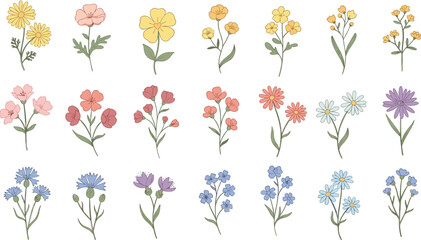 Pastel wildflower collection with delicate botanical elements, hand drawn floral vector set for spring designs, wedding invitations, greeting cards, and natural decorative illustrations © Galib