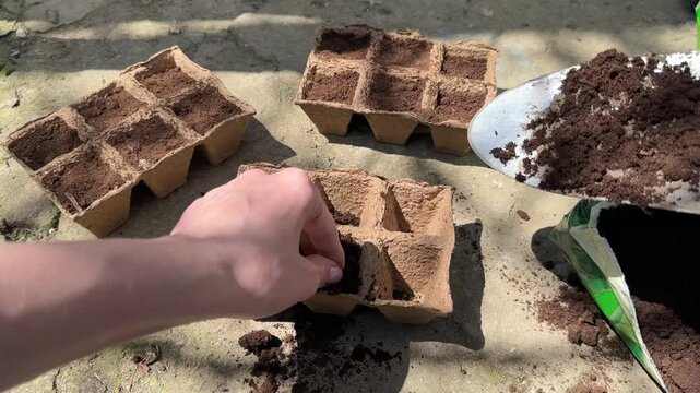 Woman pours soil from trowel into peat pots for seedling planting closeup