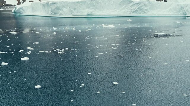 Aerial drone tilt-up reveals penguins swimming among brash ice before massive tabular iceberg and jagged snowy Antarctic cliffs