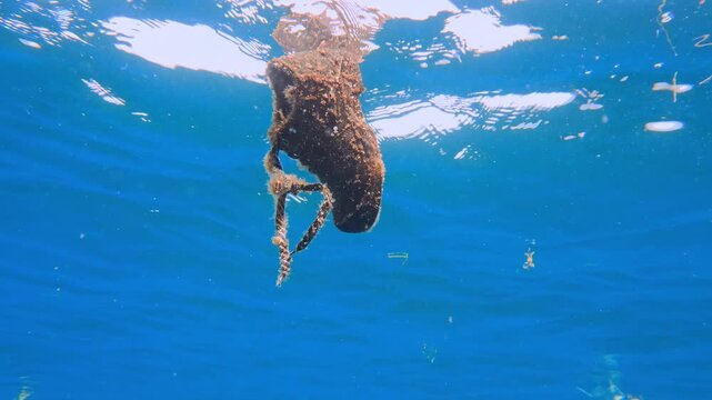 Abandoned footwear drifting in blue water covered in marine life. Ocean Debris