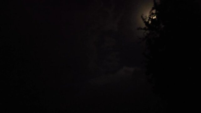 Dramatic lightening Cinematic full moon shining through dark trees at night, glowing moonlight in pitch black sky, mysterious nocturnal forest atmosphere