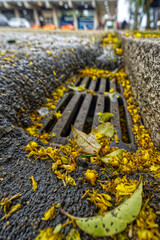 Obraz premium Metal and concrete manhole grate for urban drainage