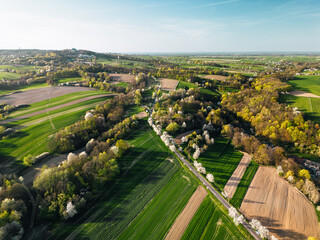 Góra Świętej Anny Polska Panorama Wiosna Aleja Czereśniowa © Wiktor