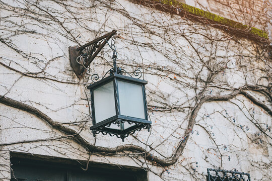 Antique wrought iron outdoor lantern hanging on an old weathered stone wall covered in dried climbing vines. Rustic architecture