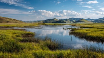 Obraz premium Vast Mongolian Steppe Landscape with Serene River and Rolling Hills Under a Cloudy Sky.