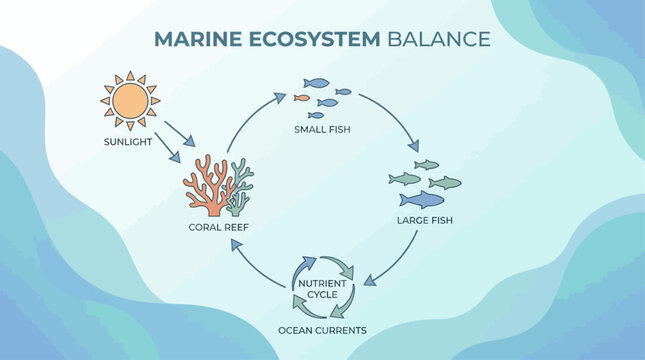 Actionable ESG & Ocean Data Story Infographic System Illustrating Marine Ecosystem Balance and Nutrient Cycles