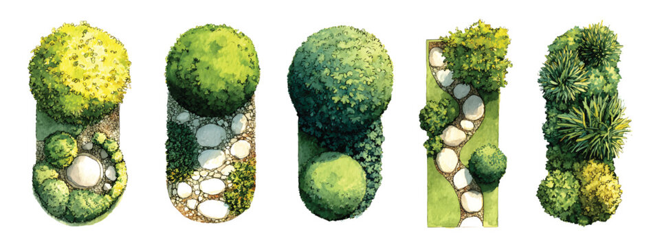 Watercolor top down view of garden landscaping architecture elements featuring trees, bushes, grass, and stepping stone pathways, isolated on transparent background