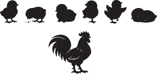  Baby chick silhouettes collection chicks in different charming poses, classic rooster vector art. © Ajmot