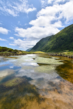 Natural salt lake on the coast, colorful hues on the surface, forested steep slopes near the village of Faja dos Cubres, Sao Jorge island, Azores