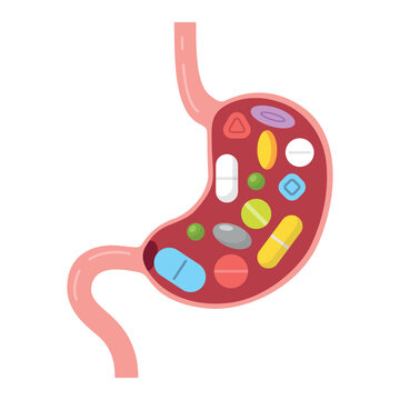 Stomach filled with various pills on a white background showing medication and health concepts in a simple vector design