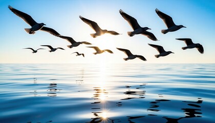 Obraz premium a group of birds flying above the water. The birds soar gracefully as the sun shines brightly over the calm sea.
