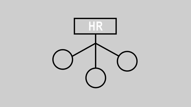HR Decision tree, flow chart self drawing animation. Decision tree, flow chart self drawing animation. white background 4k video...