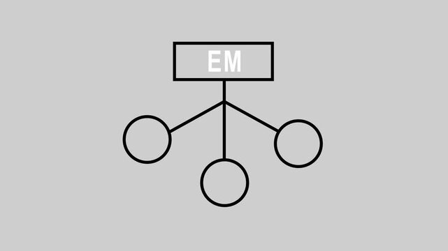 EM Decision tree, flow chart self drawing animation. Decision tree, flow chart self drawing animation. white background 4k video...