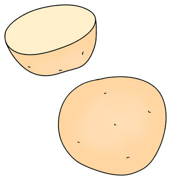 Cute hand-drawn whole and cut potato vegetable illustration