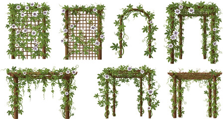 Wooden Garden Trellis Arch Pergola Covered With Climbing Passion Flower Vines Vector Illustration Set © MstLaky