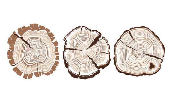 Clean wood log cross section vector with organic irregular outline and minimal ring structure isolated on white background.