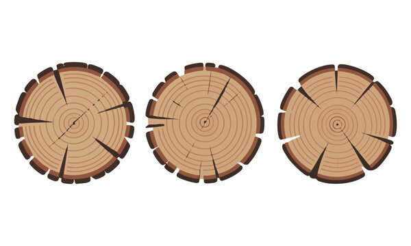 Abstract wooden cross section vector with geometric distortion and clean ring lines isolated on white background.