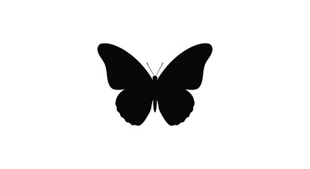 Black butterfly silhouette on a white background silhouette © AlhamdulillahAdobe