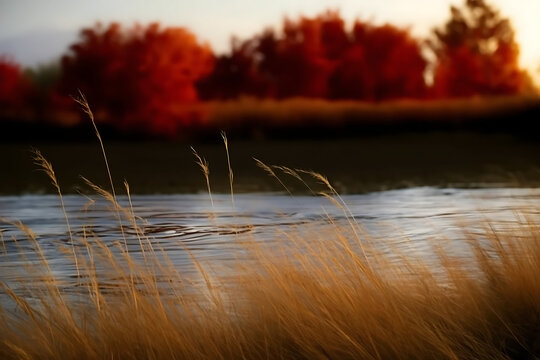 Serene Forest Trees Reflected in Calm Water with Peaceful Natural Landscape Under Soft Morning Light