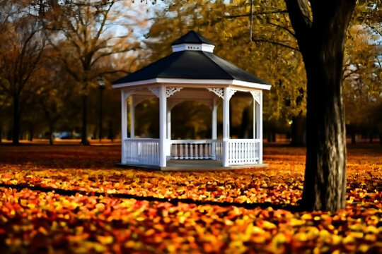 Scenic Autumn Park with Colorful Fall Foliage and Peaceful Tree Lined Path in Golden Morning Light