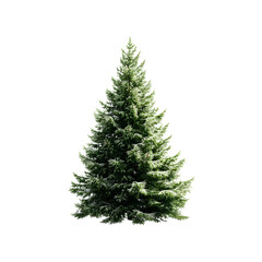 Fototapeta premium Christmas tree isolated on a white background