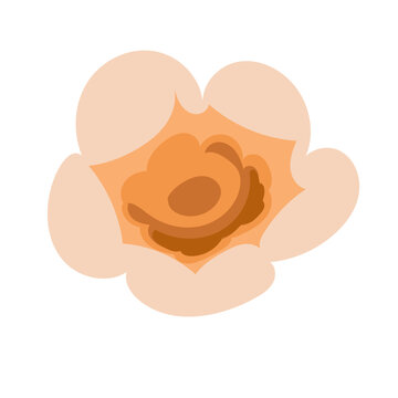 Popcorn vector illustration on isolated background. Exploded corn kernel.