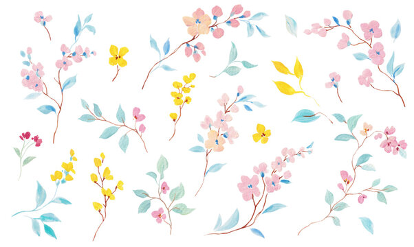 Watercolor Floral Branches Clipart Set Spring Flowers Leaves Botanical Elements Hand Painted Isolated Design Collection