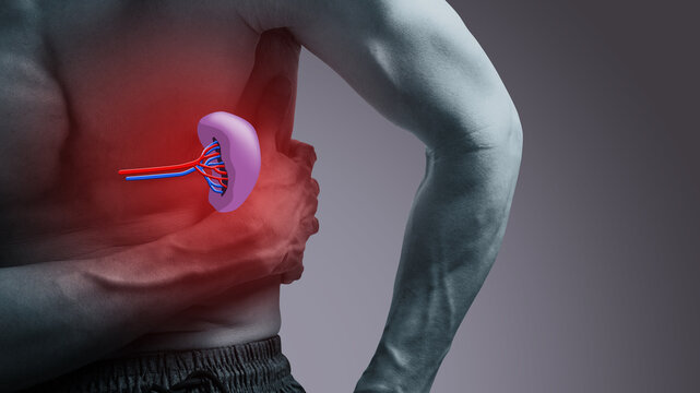 Spleen pain presents as discomfort or sharp aching in the upper left abdomen, sometimes radiating to shoulder, often linked to infection, injury, or enlargement conditions.