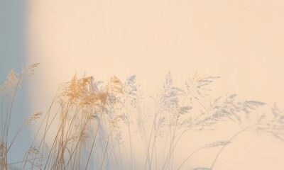Fototapeta premium Tall wild grass swaying in the gentle warm light of a golden sunset