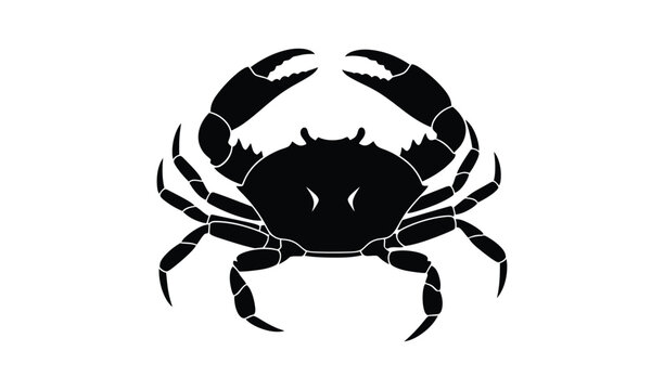 Black crab silhouette standing boldly