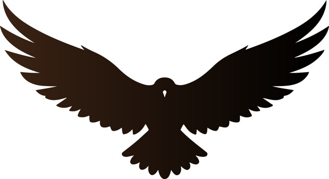 Silhouette of an eagle bird with wide open wings flying.