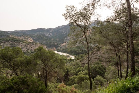R&iacute;o Guadalhorce con paisaje verde en el entorno del Caminito del Rey
