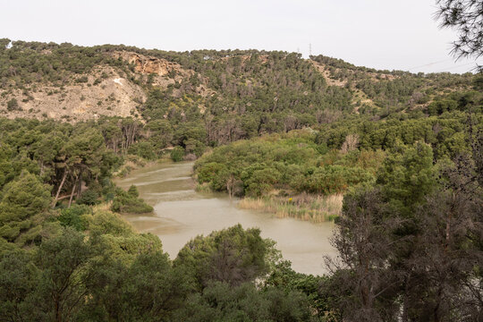 R&iacute;o Guadalhorce con paisaje verde en el entorno del Caminito del Rey