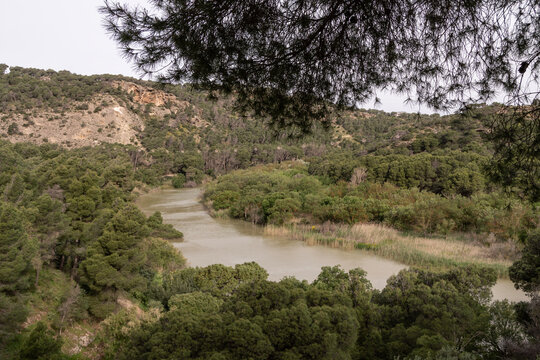 R&iacute;o Guadalhorce con paisaje verde en el entorno del Caminito del Rey