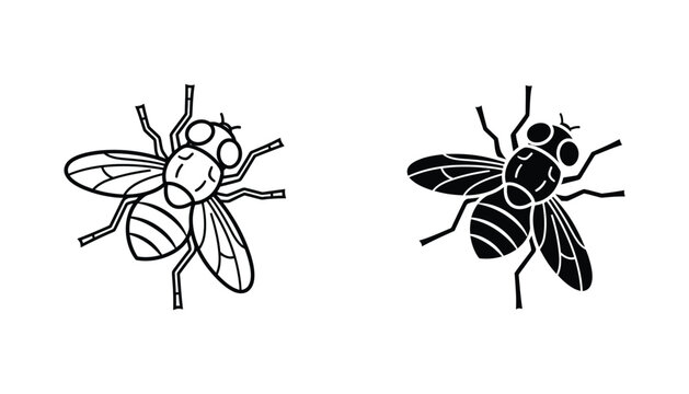 Fly insect icon outline and solid silhouette on white background for pest control and biology themes