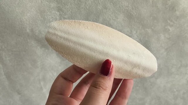 White cuttlefish shell in hand close-up. A source of calcium for birds, reptiles. Sepia