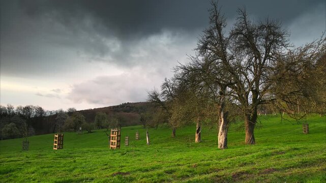 Time lapse of tranquil rural landscape with clouds moving over trees on a green pasture