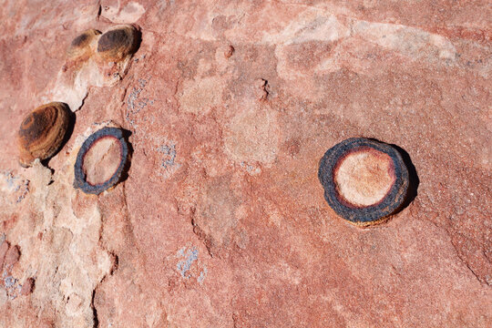 Broken Moqui Marble embedded in Navajo Sandstone, Grand Staircase-Escalante National Monument, Utah