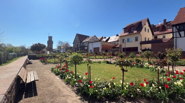 Rosengarten, Obernburg am Main, Bayern, Deutschland 