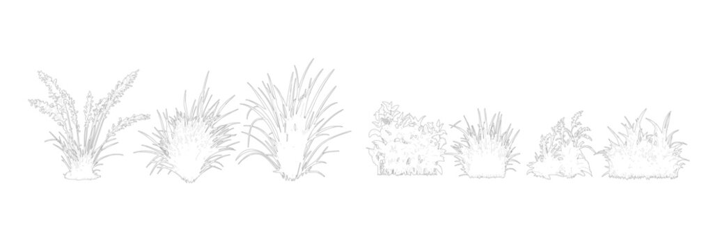 Tree Vector Set for Architectural Drawings, Elevation View Landscape Trees Collection