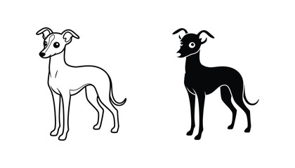 Fototapeta premium Italian greyhound dog icon in outline and solid black silhouette styles for pet care and veterinary clinic graphic design