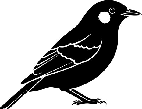 Bowerbird silhouette vector illustration