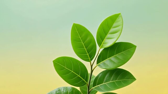 Vibrant green plant on soft gradient background