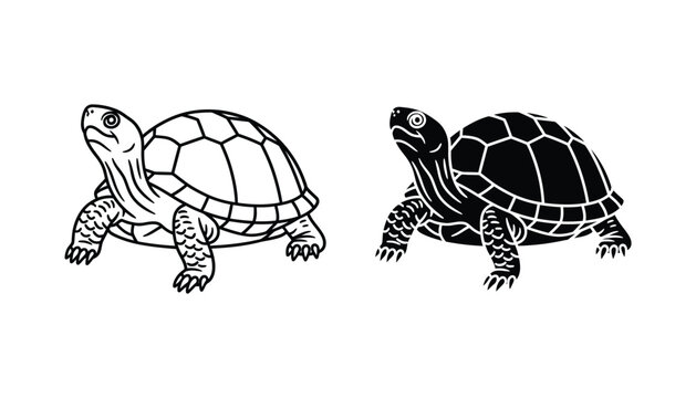 Detailed turtle character illustration featuring a textured shell in outline and solid black silhouette styles for animal and nature design projects