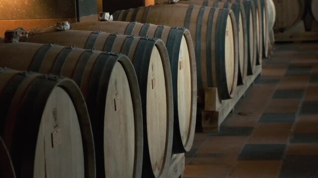 Wooden oak barrels lined up in wine cellar for aging wine in traditional winery. Wine production, cellar ambiance and aging phase of winemaking in factory in Armenia. Food and beverage technology